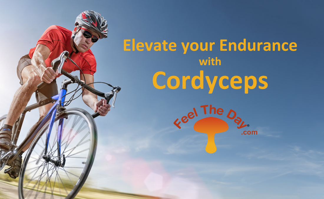 Elevate your Endurance with Cordyceps