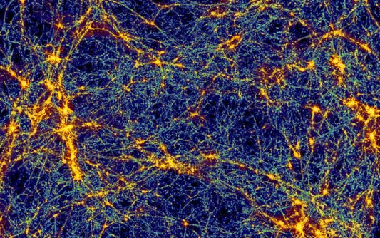 dark matter looks like mycelium of mushrooms
