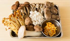 full spectrum organic mushroom blend Adaptogenin™