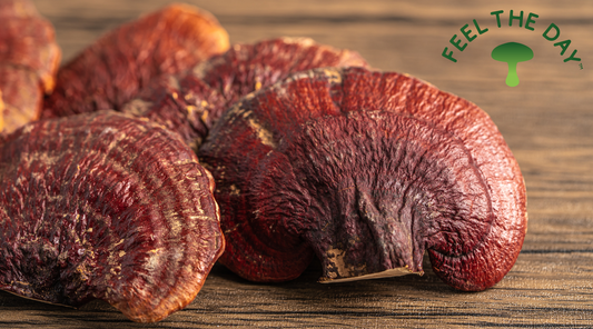 Benefits of Mushrooms for Medicinal Purposes