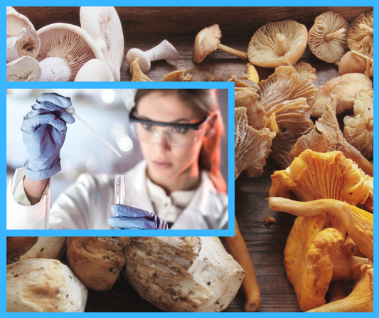 Watch out Cancer, mushrooms are here!