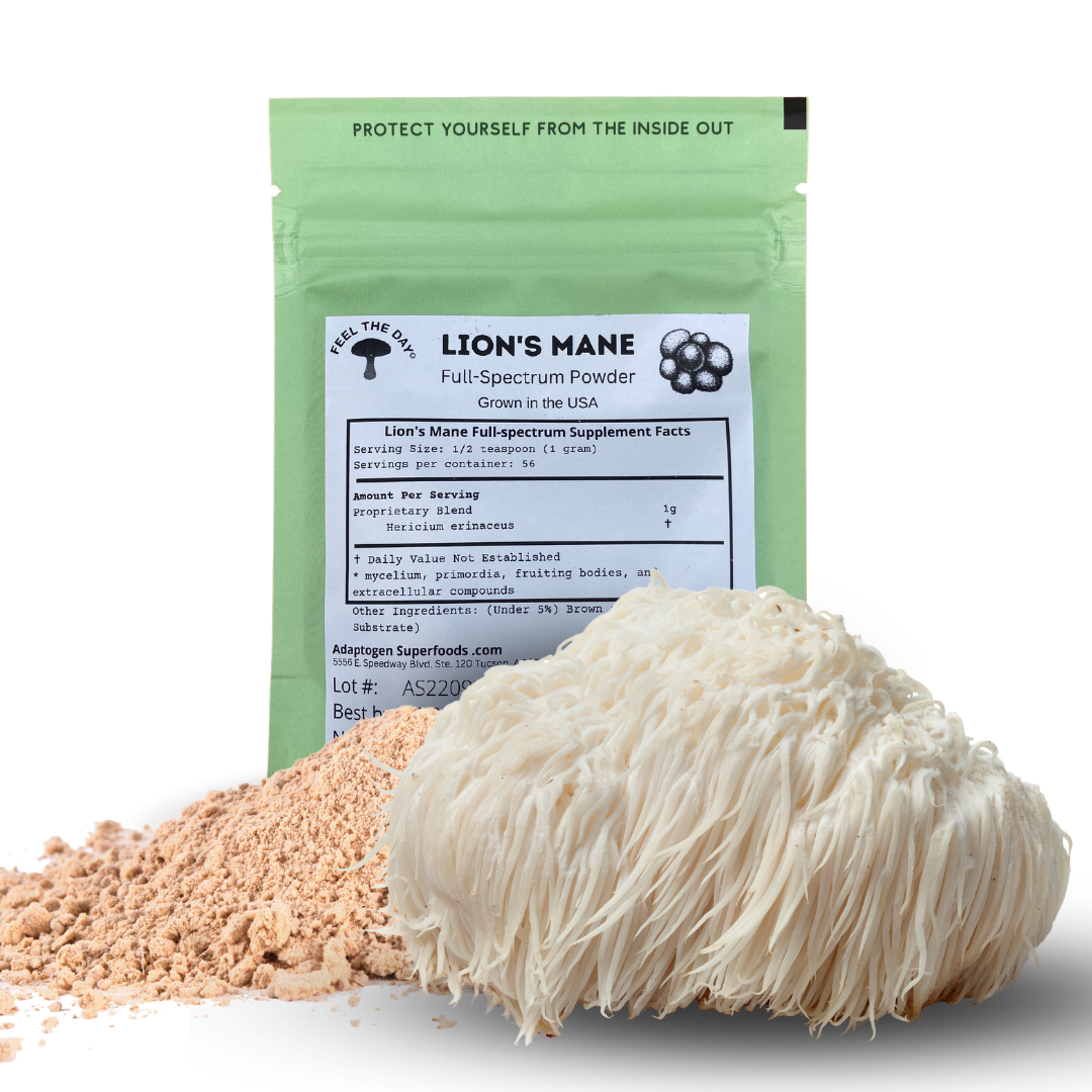 Lion's Mane mushroom powder supplement 2 oz – Adaptogen Superfoods