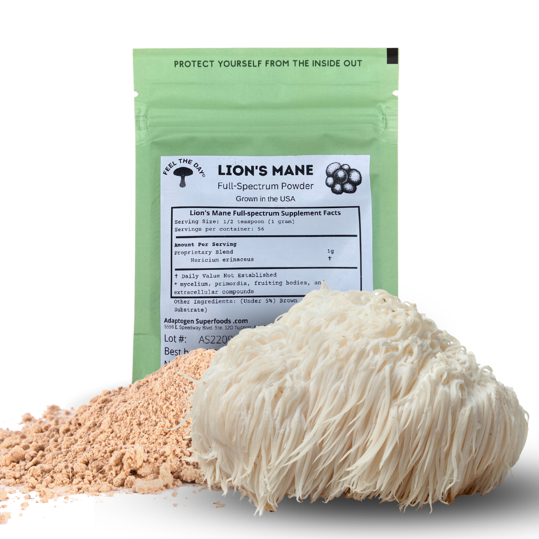 Lion's Mane mushroom powder supplement 2 oz