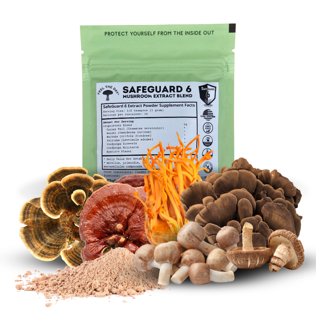 SafeGuard 6 mushroom extract powder supplement 2 oz