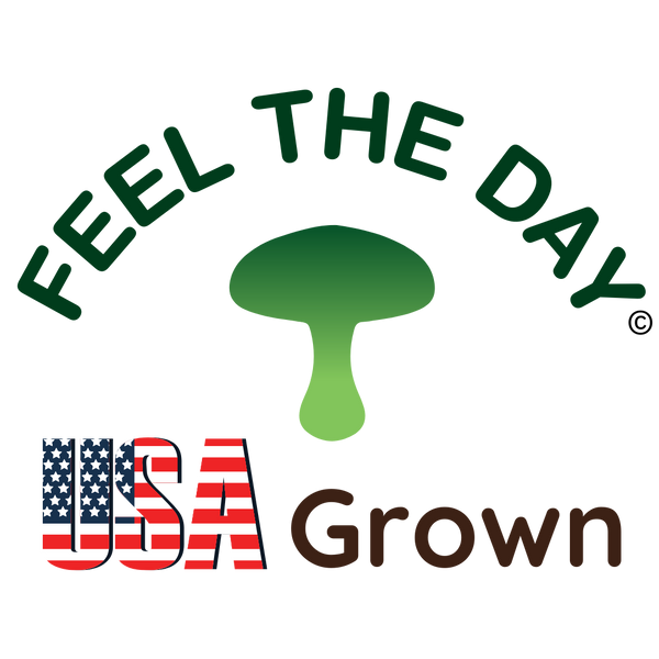 Feel The Day®