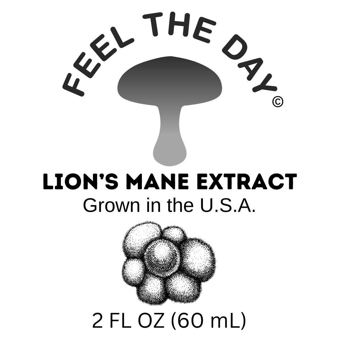 Small Batch Lion's mane mushroom alcohol extract tincture 2 oz bottle