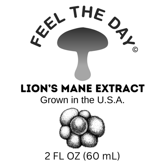 Small Batch Lion's mane mushroom alcohol extract tincture 2 oz bottle