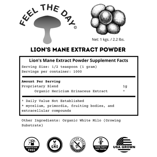 Lion's Mane mushroom powder supplement 1kg