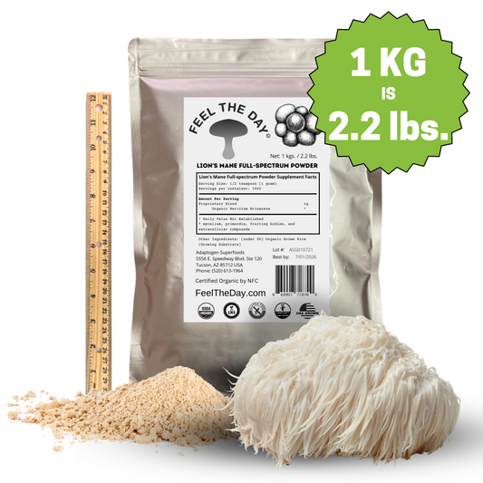 Lion's Mane mushroom powder supplement 1kg