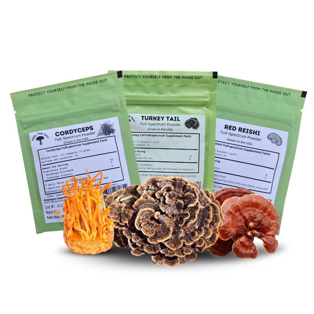 Normalized Immunity mushroom powder supplement pack