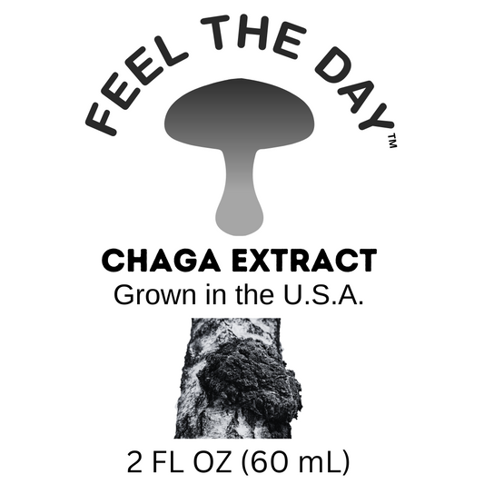 Small batch Chaga mushroom alcohol extract tincture 2 oz bottle