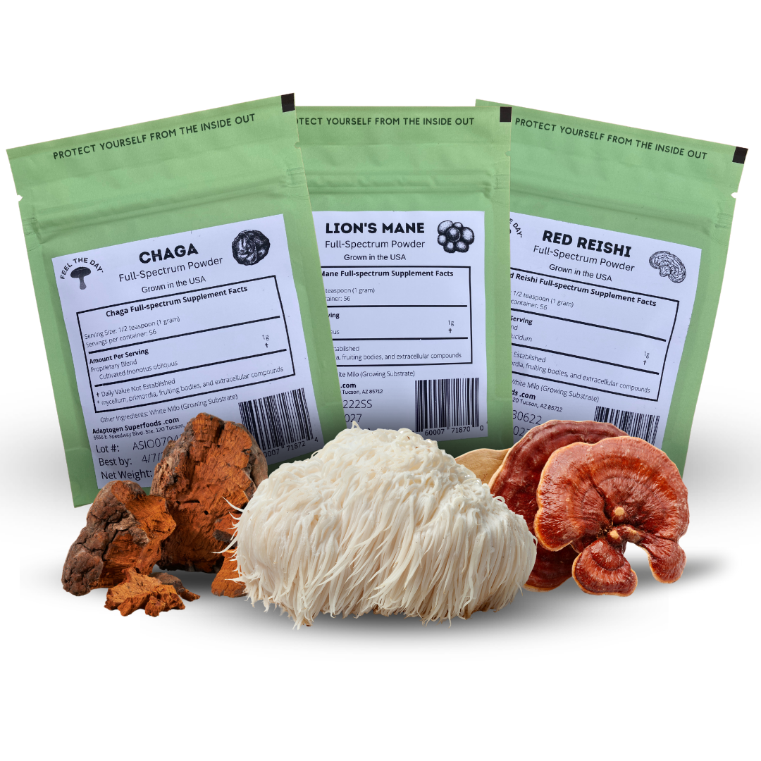 Mentalist mushroom powder supplement pack