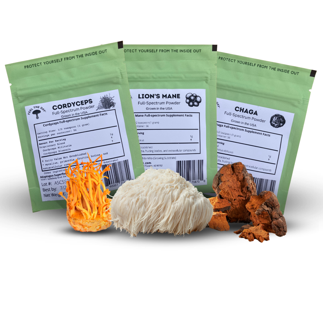 Warrior mushroom powder supplement pack