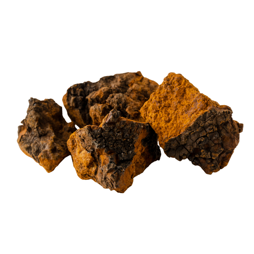 Chaga mushroom powder supplement 1kg