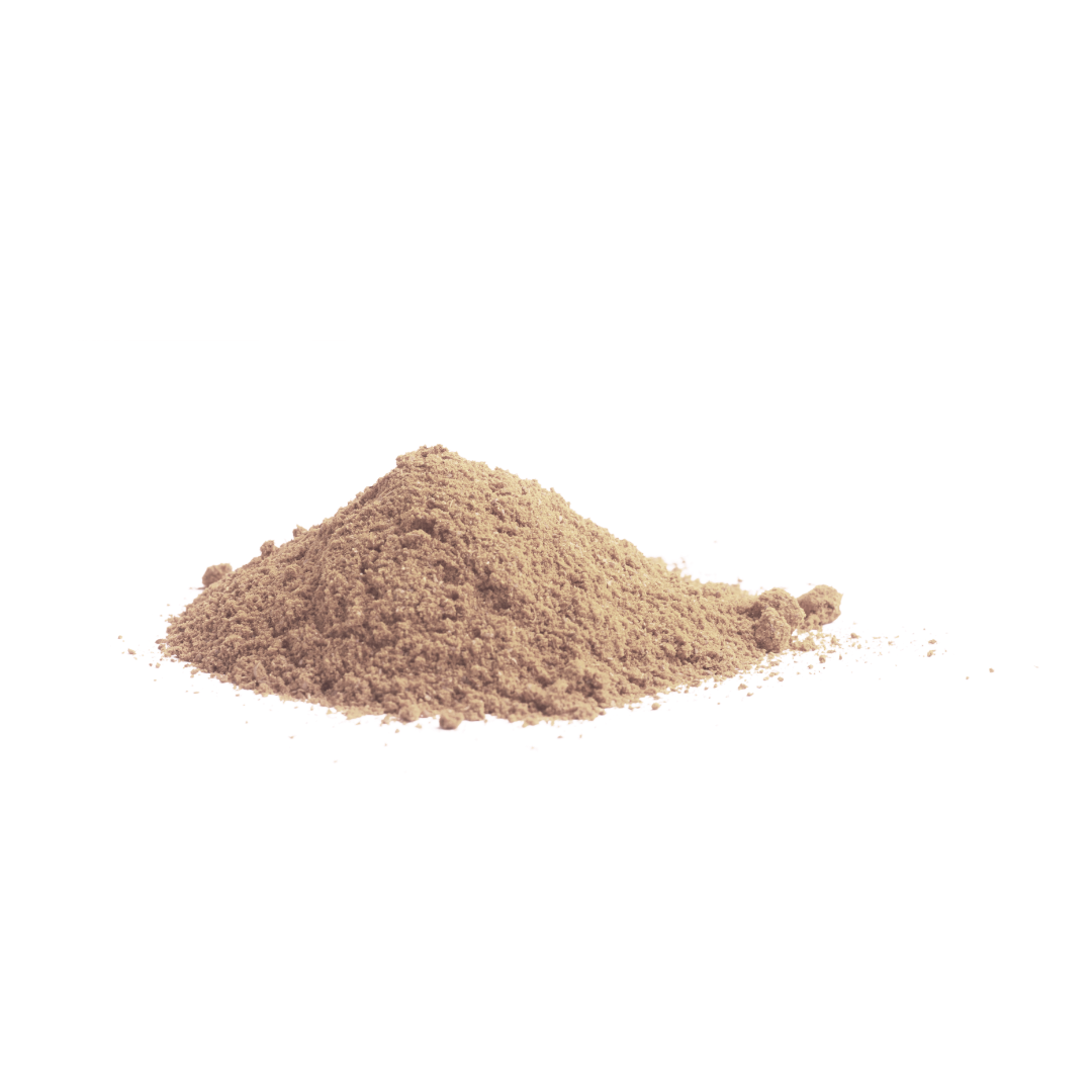 Brain Boost mushroom powder supplement