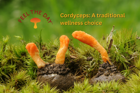 Cordyceps Mushroom Powder Supplements, A Traditional Wellness Choice