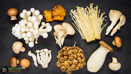 Adaptogen superfoods medicinal mushrooms and cancer