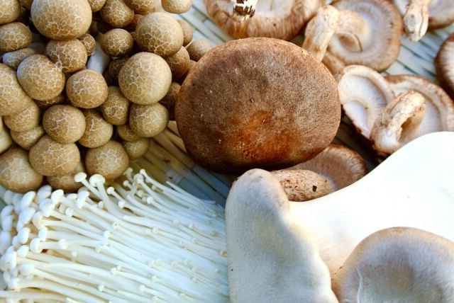 Adaptogen Superfoods organic mushroom supplement