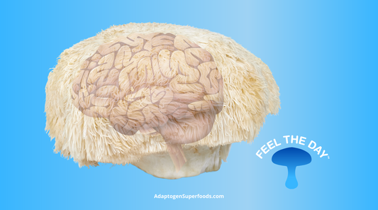 Lion's mane mushroom supplement and Alzheimer's disease