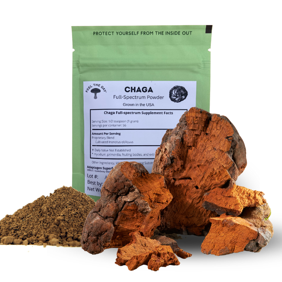 Chaga mushroom powder supplement 2 oz