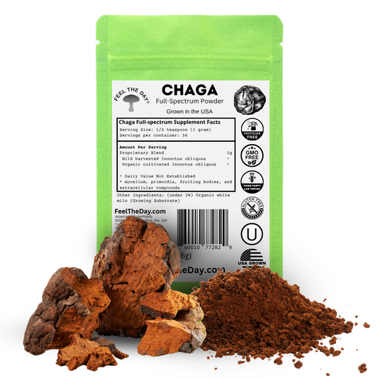 Chaga mushroom powder supplement 2 oz