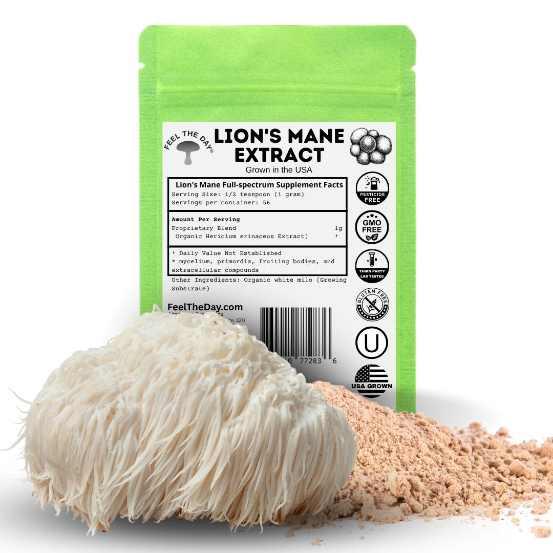 Lion's Mane mushroom powder supplement 2 oz