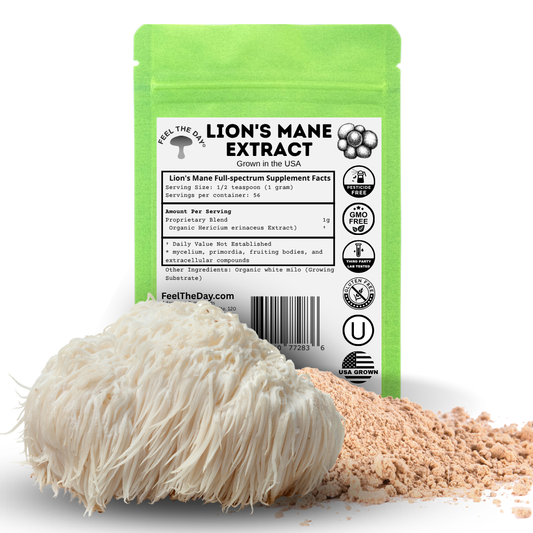 Lion's Mane mushroom powder supplement 2 oz
