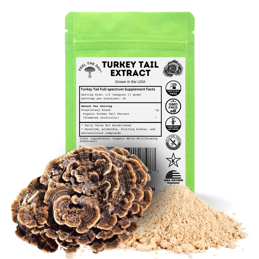 Turkey Tail mushroom powder supplement 2 oz