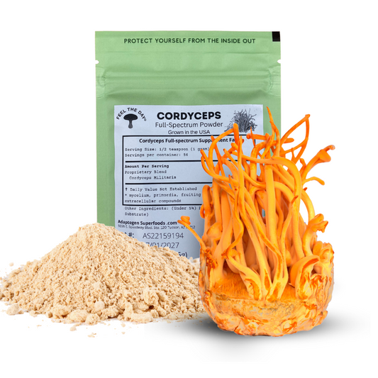 Cordyceps mushroom powder supplement 2 oz