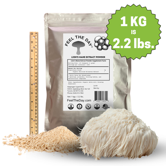 Lion's Mane mushroom powder supplement 1kg
