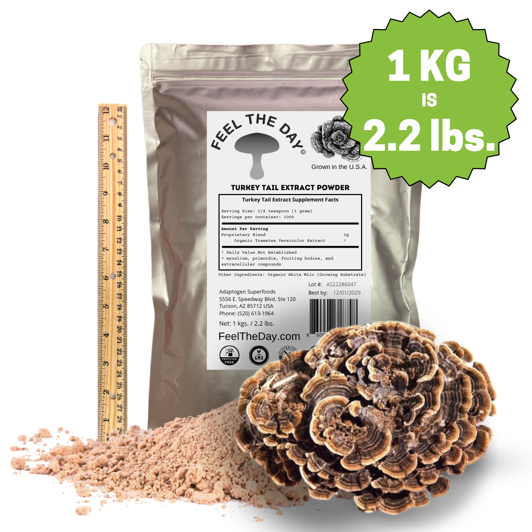 Turkey Tail mushroom powder supplement 1kg