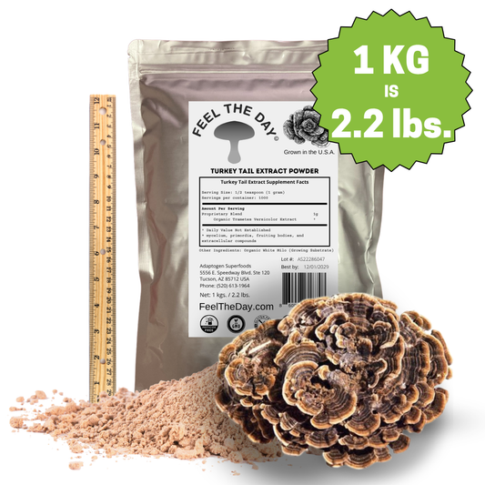 Turkey Tail mushroom powder supplement 1kg