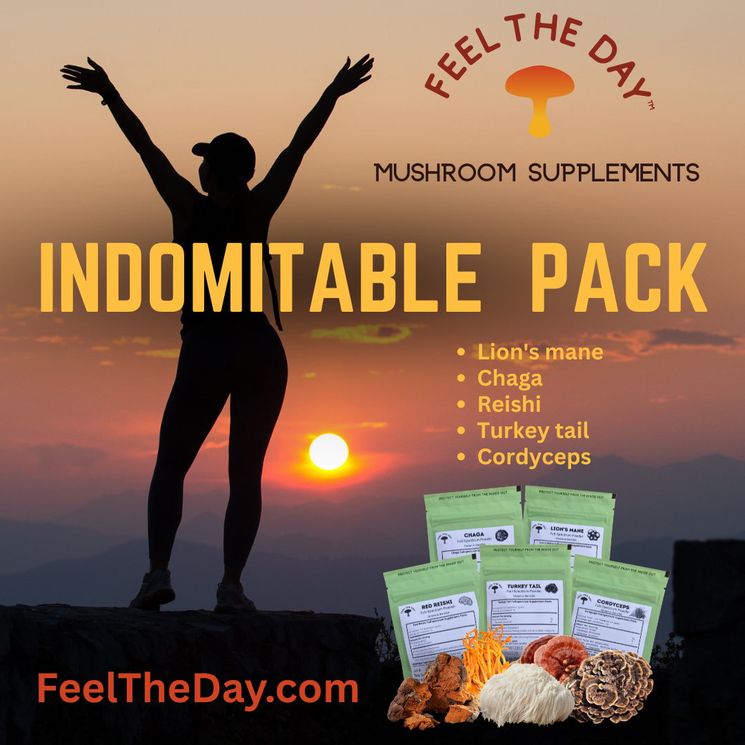 Indomitable mushroom powder supplement pack