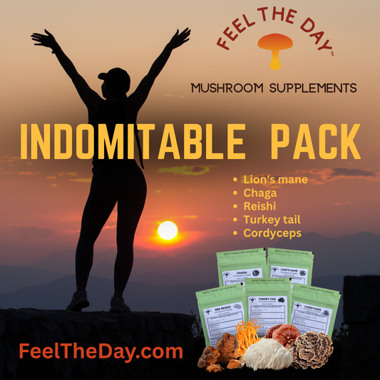 Indomitable mushroom powder supplement pack