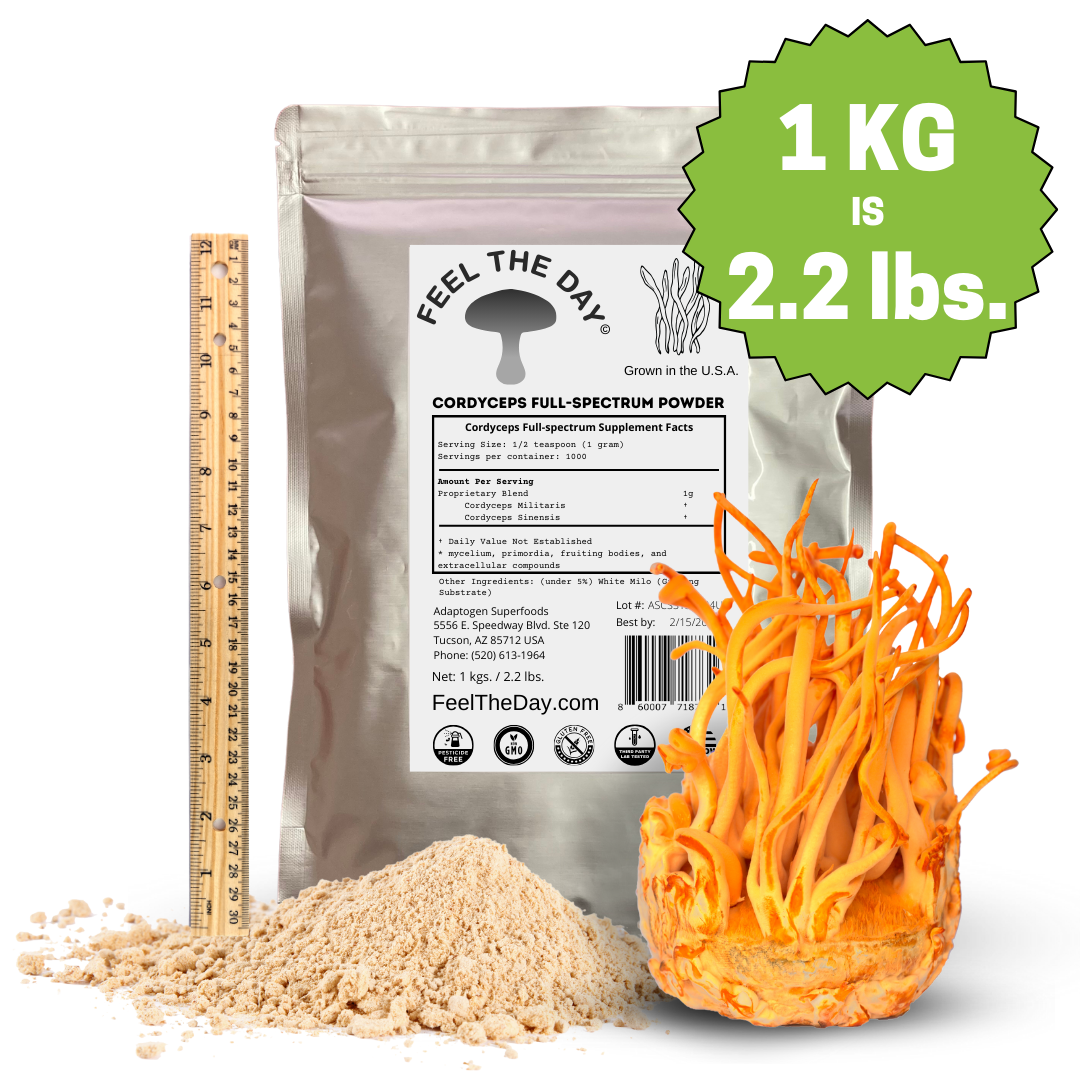 Cordyceps mushroom powder supplement 1kg