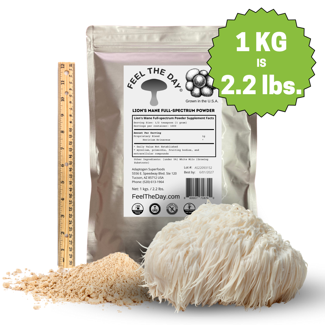 Lion's Mane mushroom powder supplement 1kg