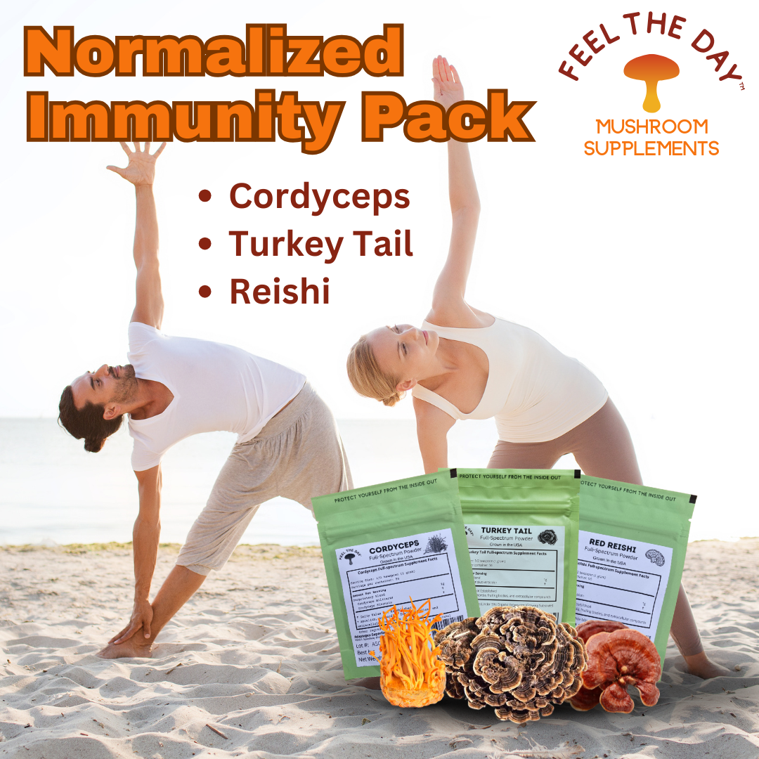 Normalized Immunity mushroom powder supplement pack