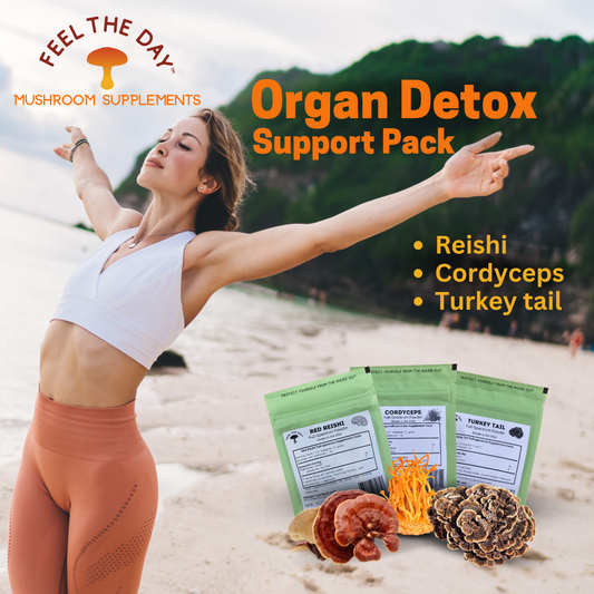 Organ Detox Support mushroom powder supplement pack