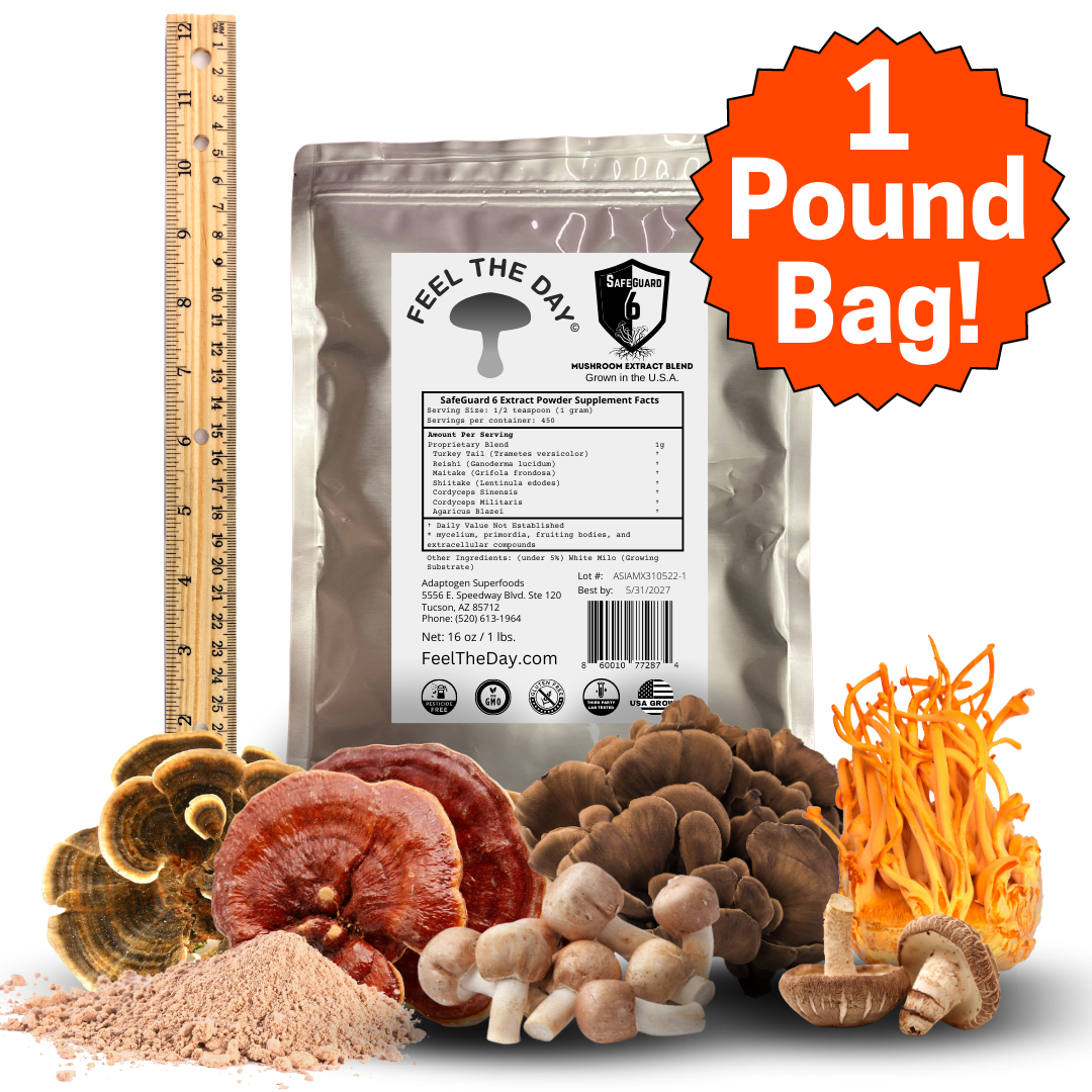 SafeGuard 6 mushroom extract powder supplement