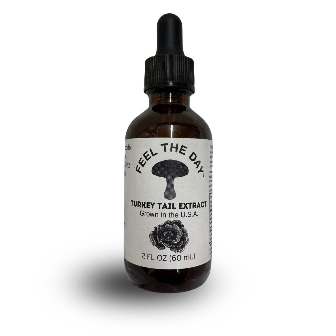 Small batch Turkey Tail mushroom alcohol extract tincture 2 oz bottle