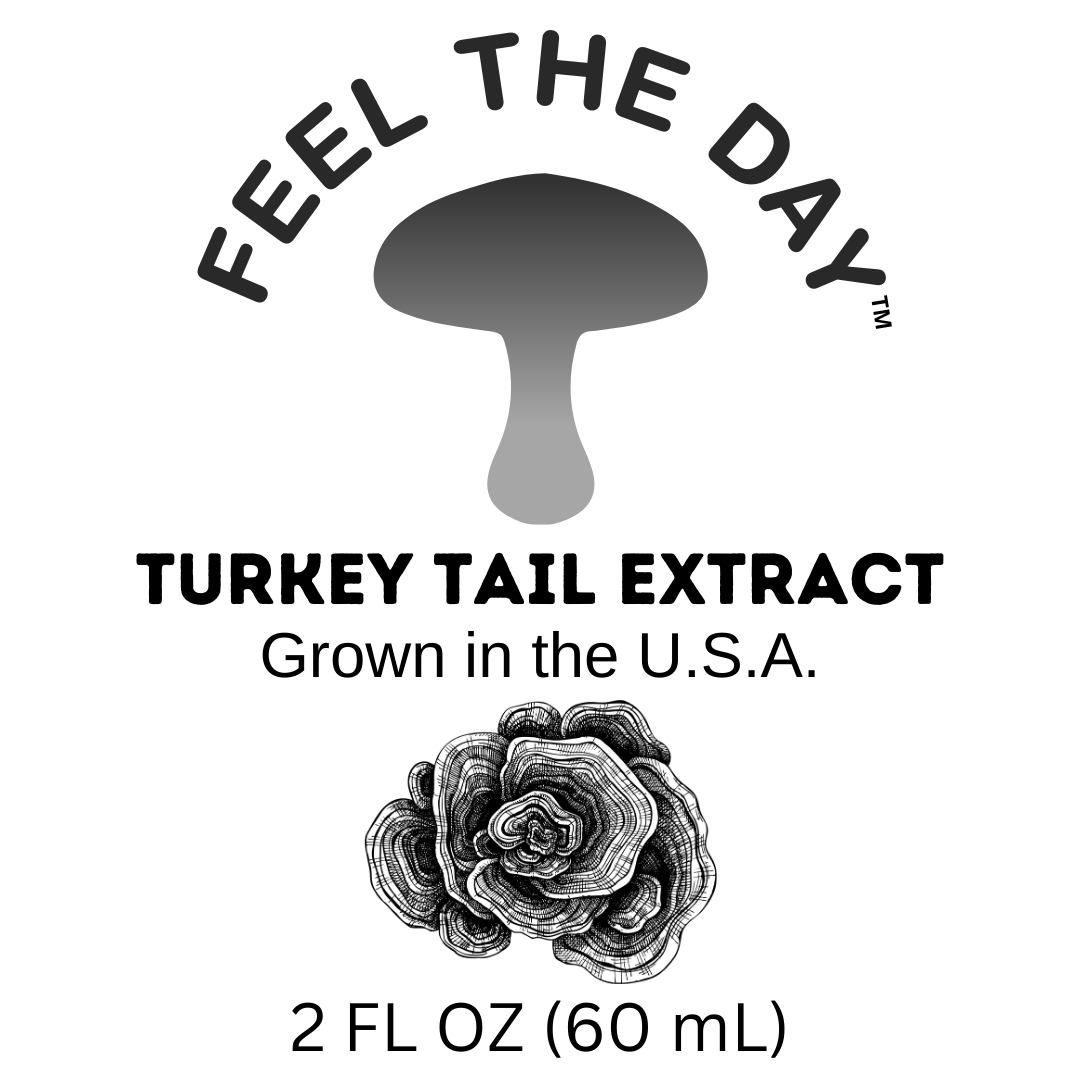 Small batch Turkey Tail mushroom alcohol extract tincture 2 oz bottle
