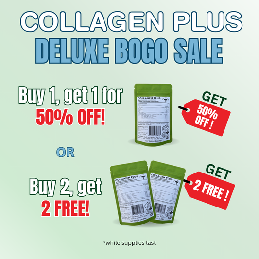 Collagen Plus mushroom powder supplement