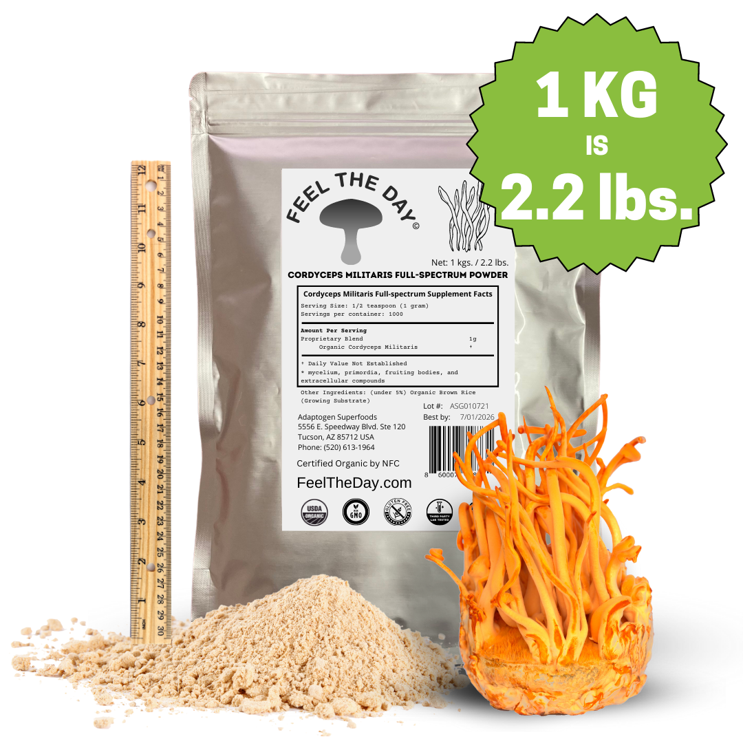 Cordyceps mushroom powder supplement 1kg