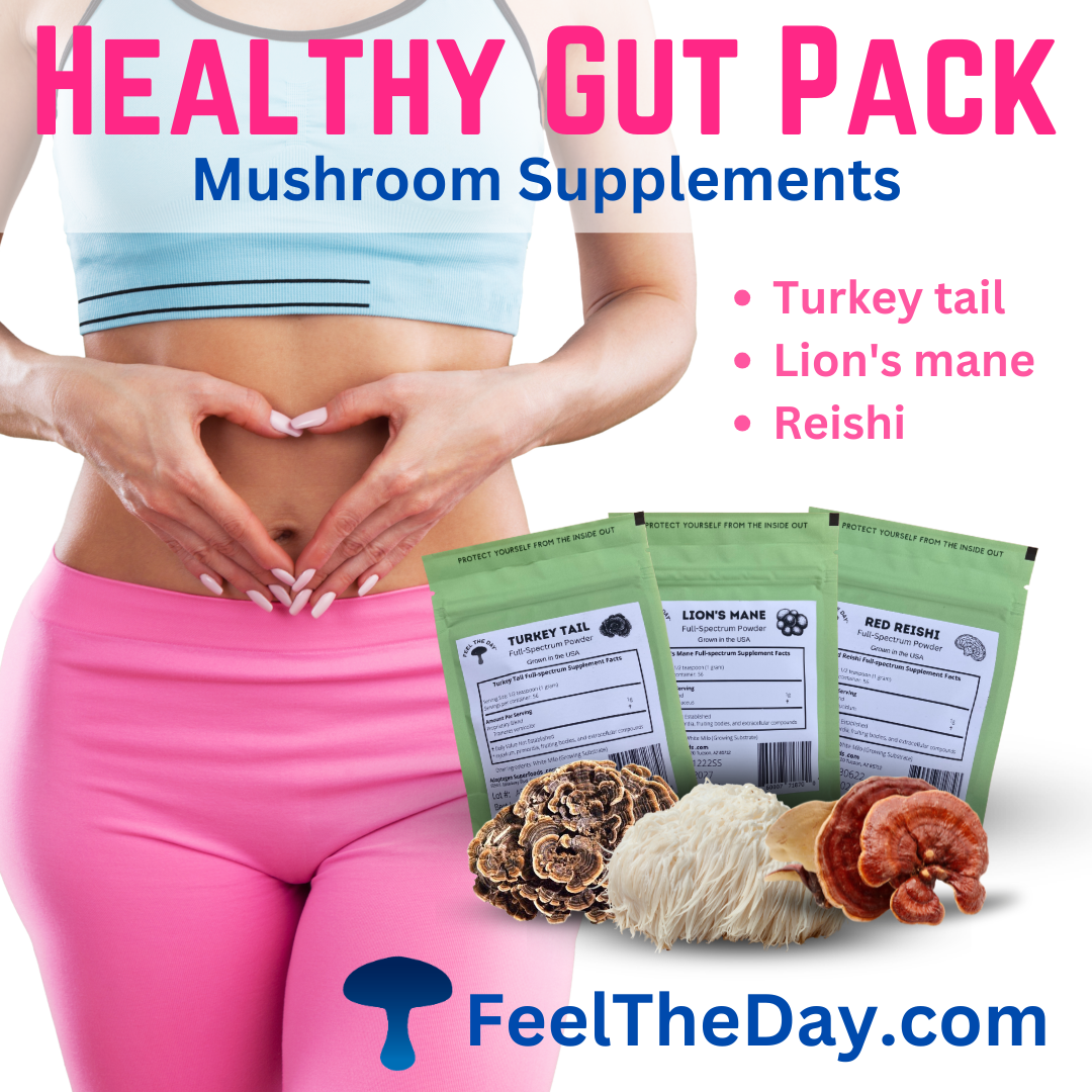 Healthy Gut mushroom powder supplement pack