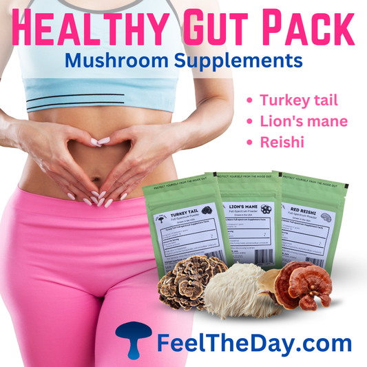 Healthy Gut mushroom powder supplement pack