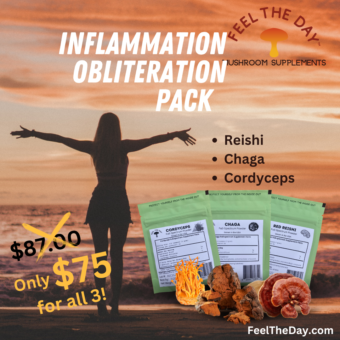 Inflammation Obliteration mushroom powder supplement pack