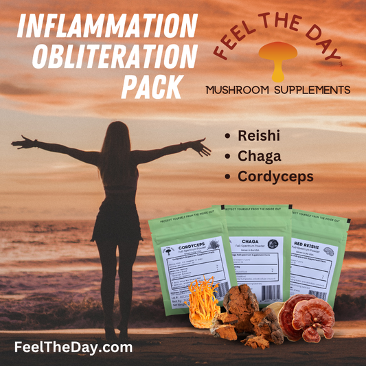 Inflammation Obliteration mushroom powder supplement pack