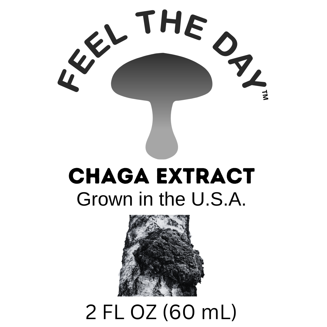 Small batch Chaga mushroom alcohol extract tincture 2 oz bottle