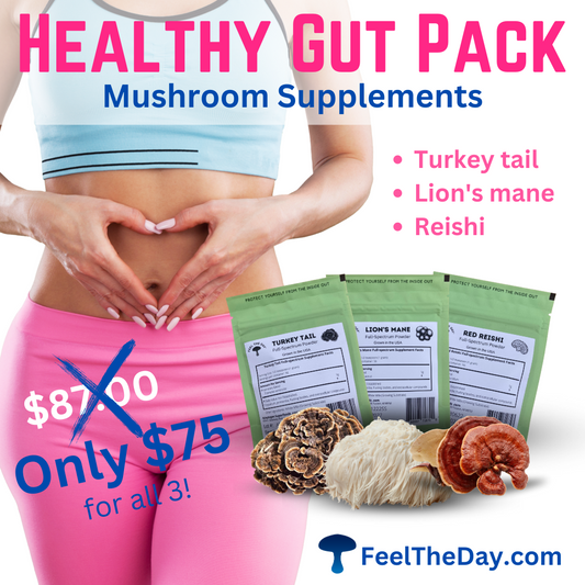 Healthy Gut mushroom powder supplement pack