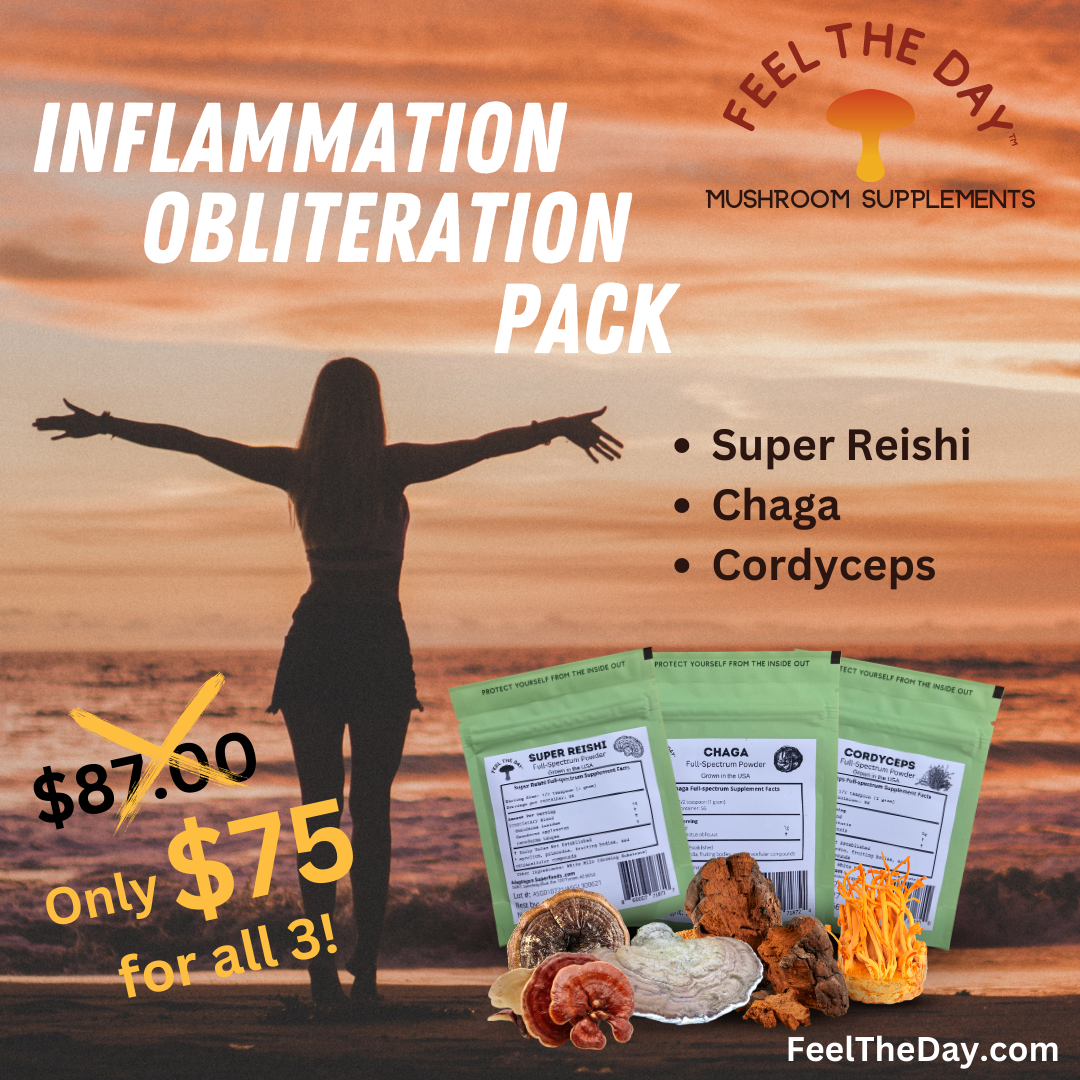Inflammation Obliteration mushroom powder supplement pack